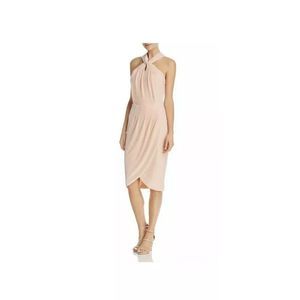 Cupcakes and Cashmere Pink Velvet Midi Dress